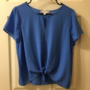 Blue Blouse